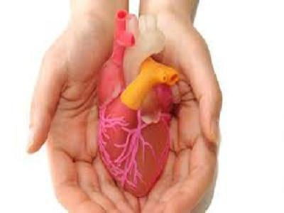 Heart Implants Market with Current Trends Analysis By 2025 | Medtronic, Inc., Boston Scientific Corporation, Abbott Vascular Inc., Edwards Life-sciences Corporation.