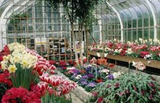 Greenhouse, Nursery and Flowers Market