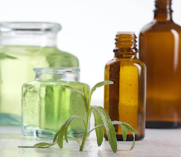 Tarragon Oil Market is Thriving Worldwide – Key Players are Sigma-Aldrich, Sydney Essential Oils, Berje, Falcon Worldwide Chemical