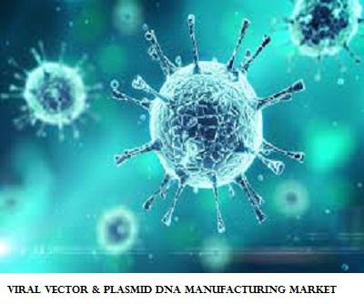 Viral Vector And Plasmid Dna Manufacturing Market Outlook 2019 | Business Development | Research Report 2025
