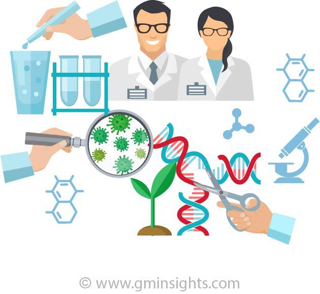 Sinus Dilation Devices Market Growth Share 2019-2025 Size Report