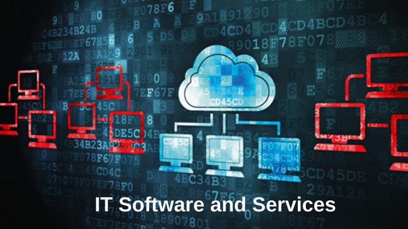 IT Software and Services