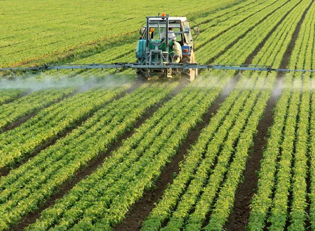 Herbicides Market Report 2026: Market Trends and Competitive Analysis, by Top Key Vendors like: Syngenta, Monsanto, Alligare, Arys