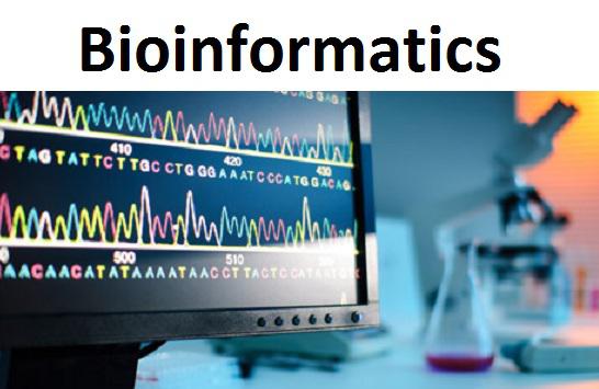 Bioinformatics Market