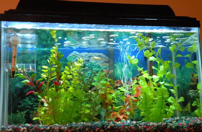 Aquarium Lighting Market