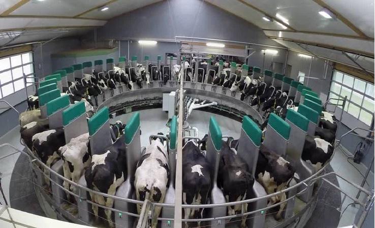 Know the latest trends in Automated Dairy Management Systems Market by top key players like Delaval (Sweden), GEA (Germany), Afimi