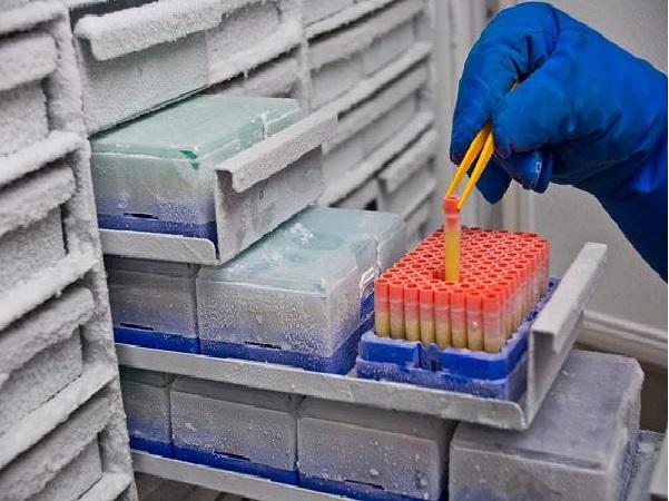 Biobanking Sample Market 2019-2025 growing vigorously with top key players like Micronic (Netherlands), LVL Technologies GmbH & Co