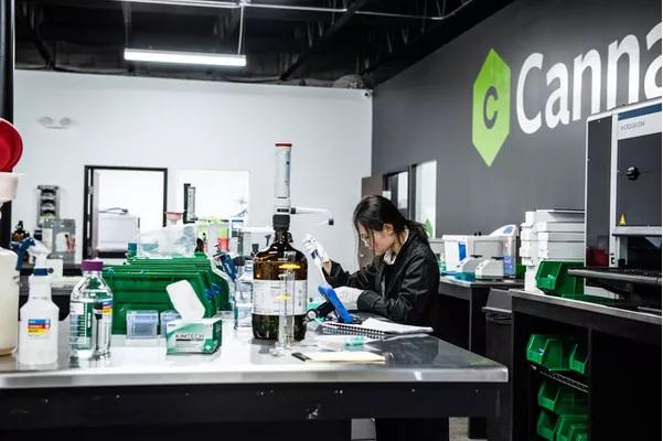 Global Chromatography Instruments For Cannabis Testing Market 2019 Analysis with Key Players - Agilent Technologies, Inc. (U.S.),