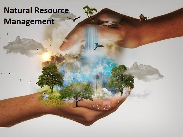 Global Natural Resource Management Consulting Market, Top key