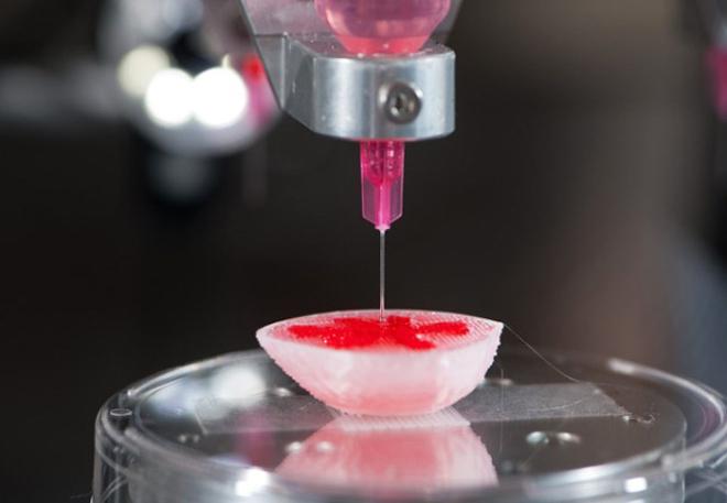 3D Bioprinting- Global (United States, European Union and China) Market Outlook and Forecast 2019-2025