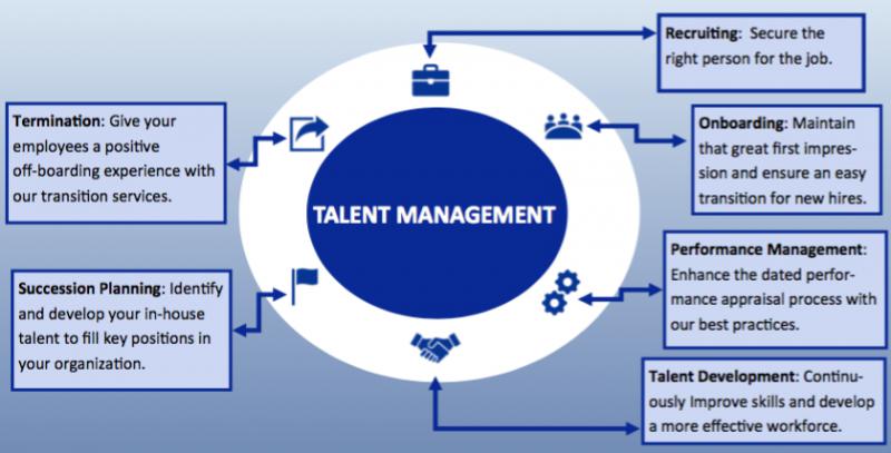 Performance Management  Talent Flex Consulting