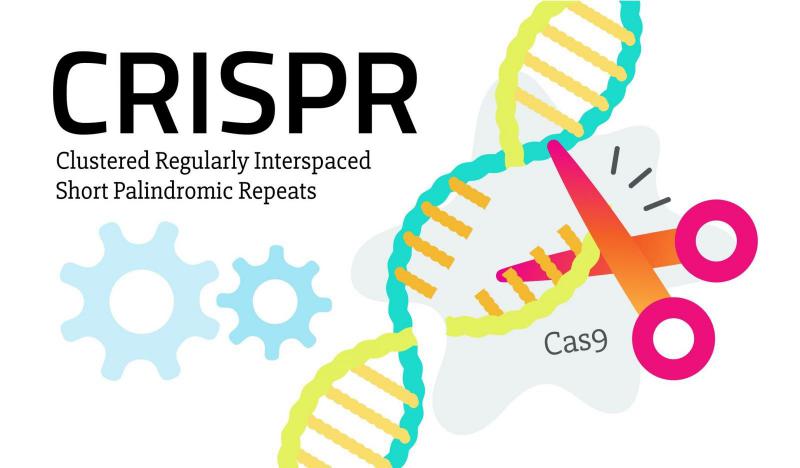 CRISPR/Cas9 Technology Analysis Report | Key Players: Broad Institute, MIT, Harvard college, Dupont, University California
