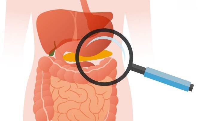 Global Exocrine Pancreatic Insufficiency (EPI) Therapeutics and Diagnostics Market – Industry Trends & Forecast to 2026