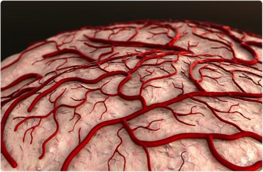 Blood Clotting Factors