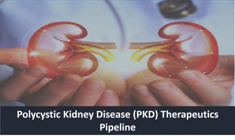 Polycystic Kidney Disease (PKD) Therapeutics Pipeline