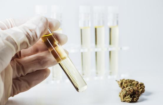 Cannabis Testing Market Expansion to be Persistent During 2018 – 2026 With Top Players Like Shimadzu Corporation, Agilent Technologies, Thermo Fisher Scientific, PerkinElmer, Millipore Sigma, AB SCIEX