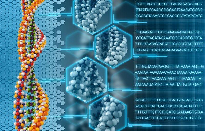 Bioinformatics Platforms