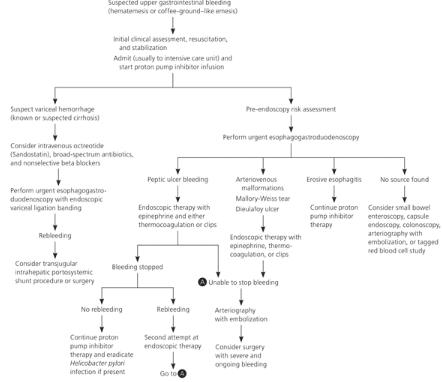 Gastrointestinal Bleeding Treatment Market: Competitive