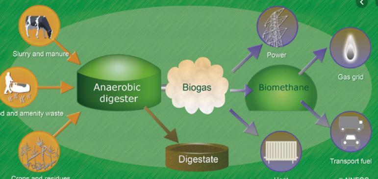 Anaerobic Digestion Market Size, Share, Development by 2024