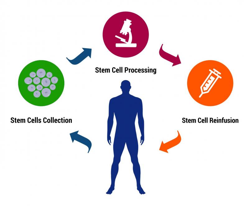 Autologous Cell Therapy Market: Competitive Dynamics & Global