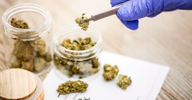 Cannabis Testing Services Market: New Business Opportunities and Investment Research Report 2018-2026