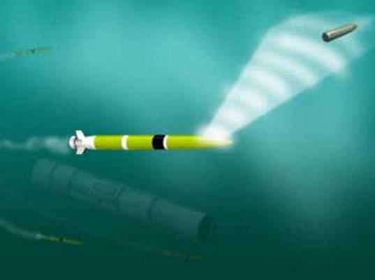 Anti Torpedo Torpedo Market Size, Share, Development by 2024