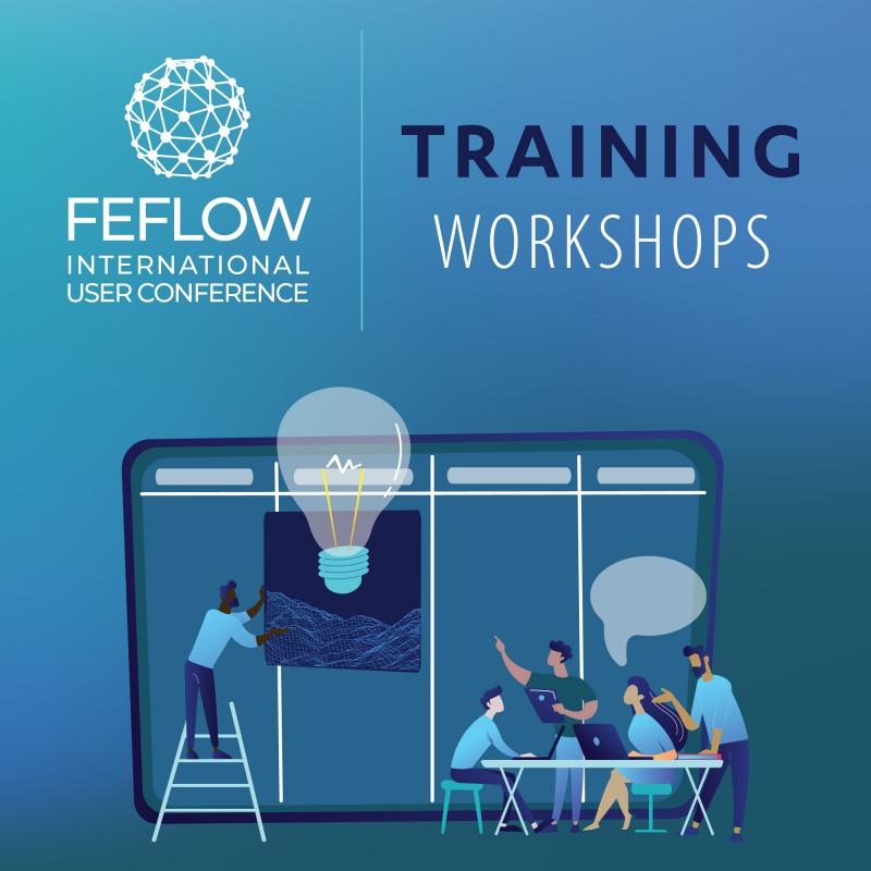 DHI Announces Training Workshops for FEFLOW International User