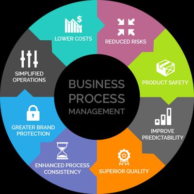 Business Process Management Platforms Market Report 2019-2025