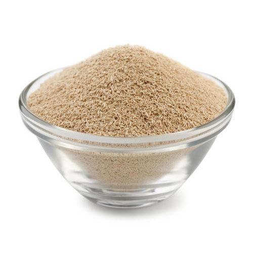 Yeast Powder Market