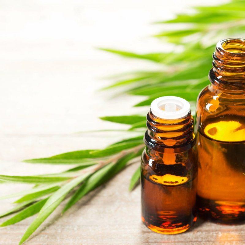Global Tea Tree Oil Market is Projected to Reach $59.5 Million