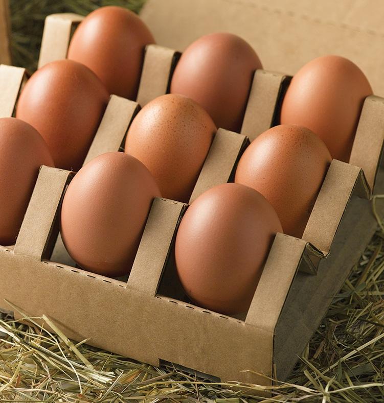 Egg Packaging