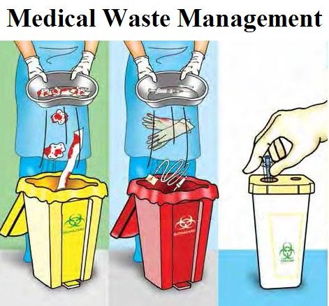 Nestlé Lanka launches 2nd phase School Waste Management Programme