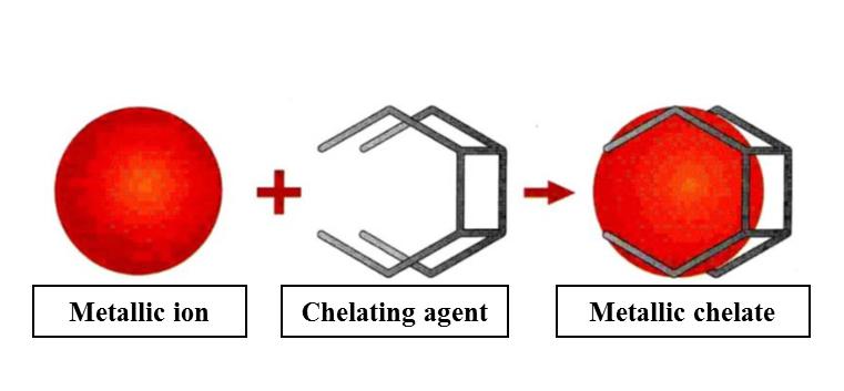 Global Chelating Agents Market to Witness a Pronounce Growth