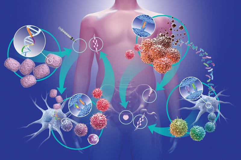 Cancer Therapeutic Market