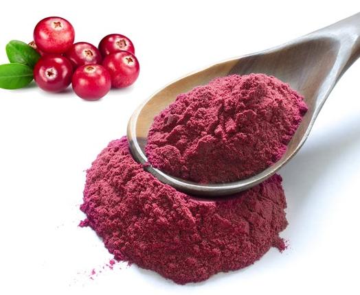 Cranberry Powder Market Size, Share, Development by 2024