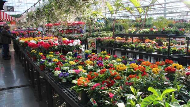 The style trends for the floriculture sector in 2021