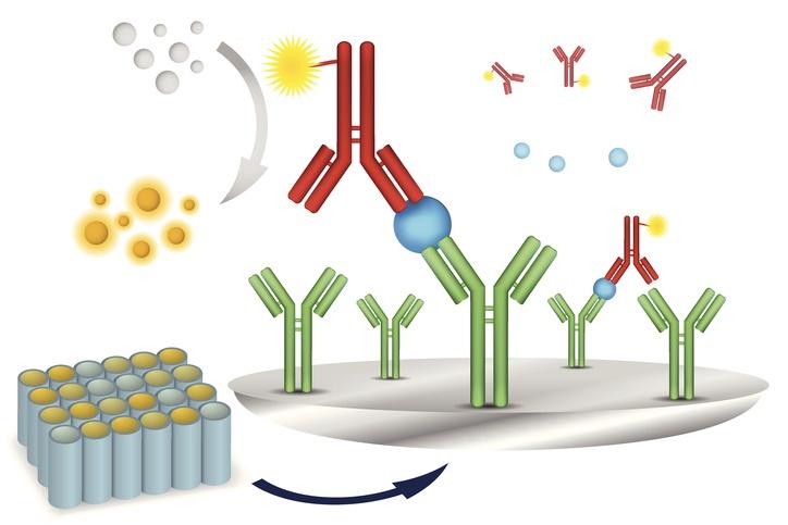 Global Immunoassay Market 2019, Global Immunoassay Market Growth, Global Immunoassay Market Trends and Analysis,Immunoassay