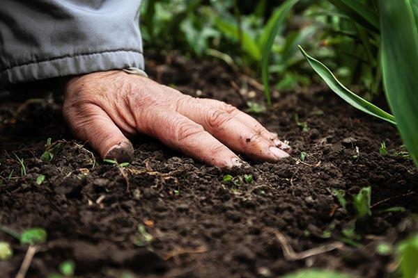 Global Catalyst Fertilizers Market 2019, Global Catalyst Fertilizers Market Growth, Global Catalyst Fertilizers Market Trends