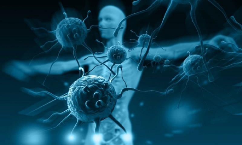 Cancer Immunotherapy Industry market