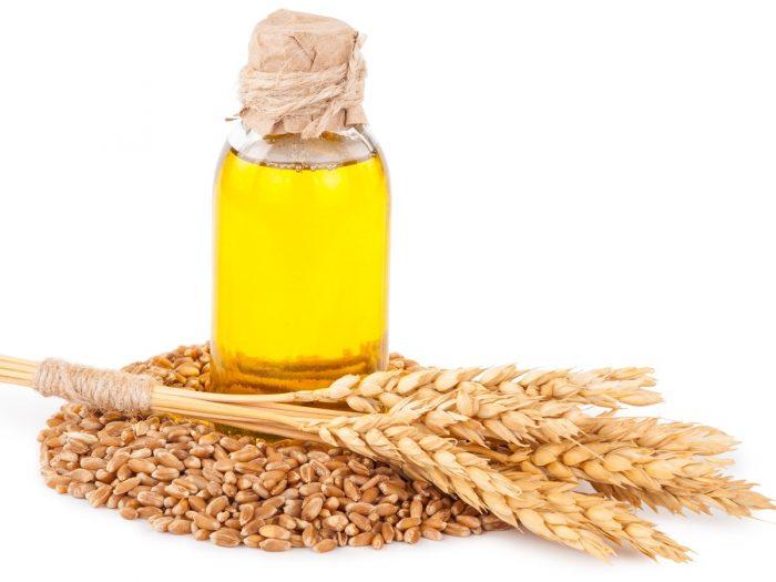 Global Wheat Germ Oil Market Huge Growth Opportunity between