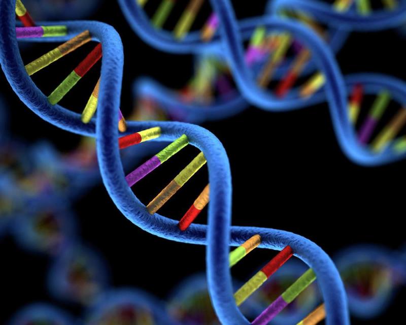 Global Genomics Market 2019, Global Genomics Market Growth and Revenue, Global Genomics Market Trends and Analysis,Genomics