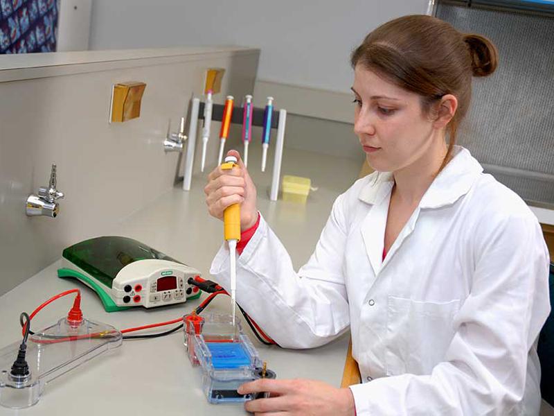 Global Histopathology Testing Equipment Market 2019, Global Histopathology Testing Equipment Market Growth ,Histopathology Testing