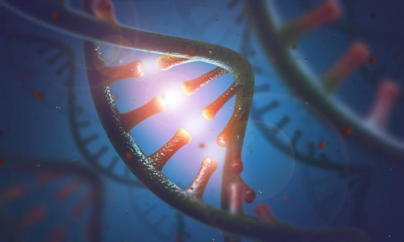 Global miRNA Sequencing and Assay Market 2019, Global miRNA Sequencing and Assay Market Growth , miRNA Sequencing and Assay