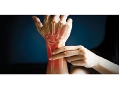 Global Bone and Joint Ingredients Market, Bone and Joint Ingredients Market, Bone and Joint Ingredients