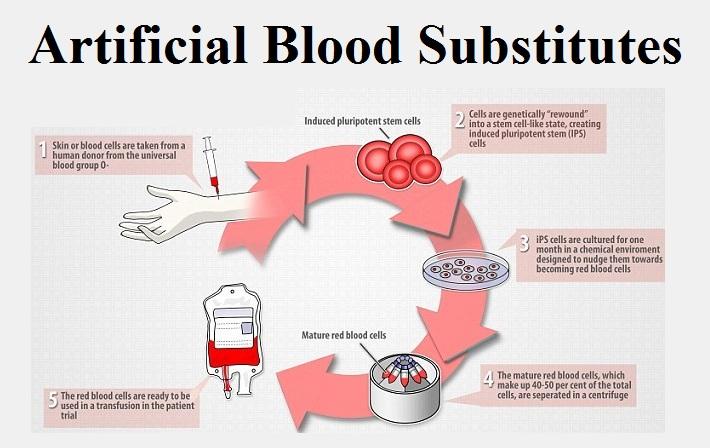 Artificial Blood Substitutes Market