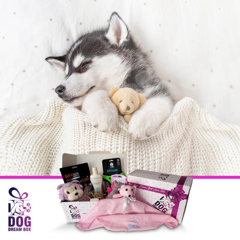 Puppy Dream Box | DOG DREAM BOX