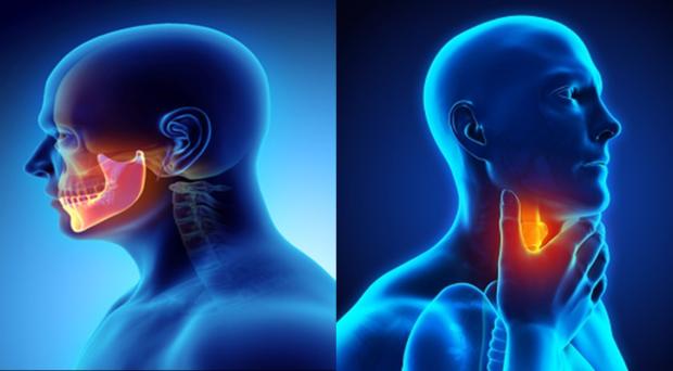 Head and Neck Cancer Treatment Assessment Market, Head and Neck Cancer Treatment Assessment Market forecast 2020