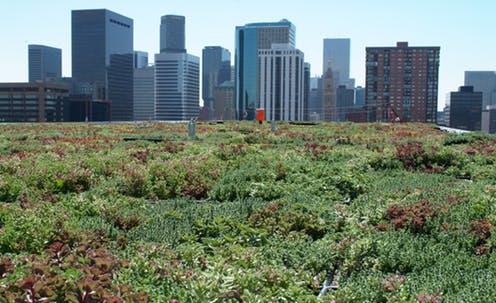 Market trends and outlook coupled with factors driving and restraining the growth of the Green Roofs and Walls market