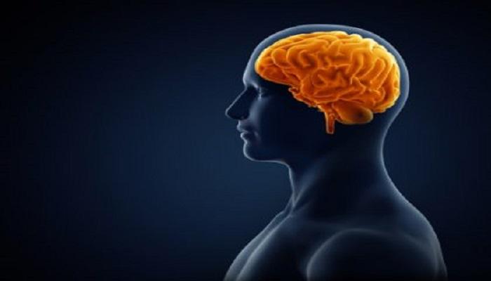 Brain Computer Interface Devices Market