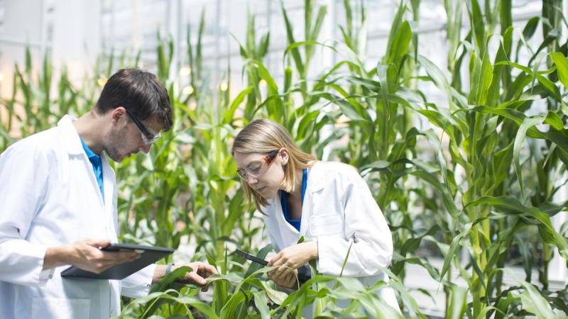 Market trends and outlook coupled with factors driving and restraining the growth of the Agricultural Biotechnology market